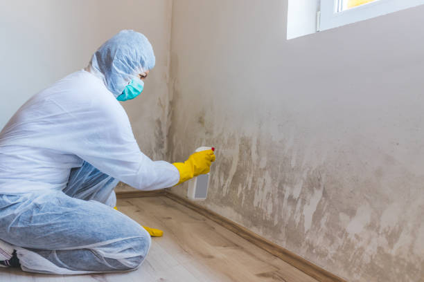 Licensed Crawl Space Mold Removal service in Leonardo, NJ - WQB Mold Removal