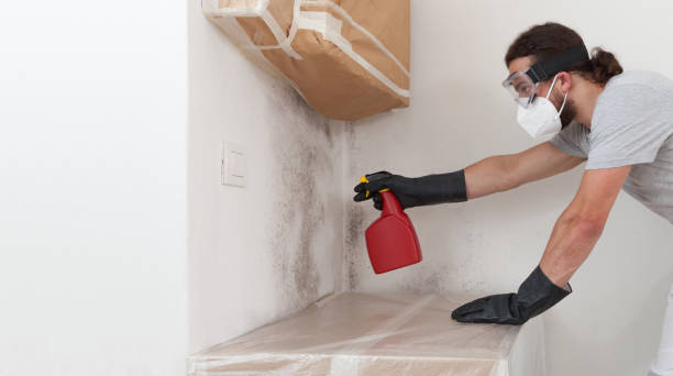 Professional Crawl Space Mold Removal technician working in Leonardo, NJ