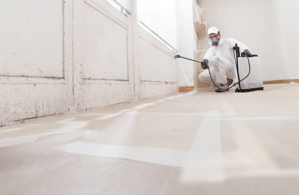24/7 Emergency Crawl Space Mold Removal experts in Leonardo, NJ