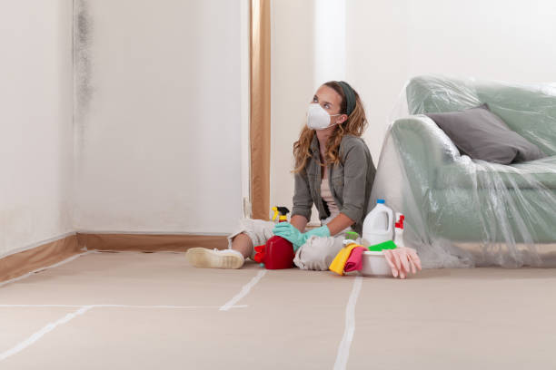 Trusted Crawl Space Mold Removal service in Leonardo, NJ - WQB Mold Removal