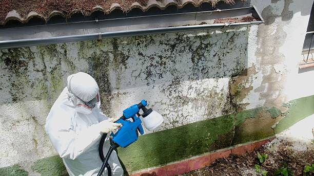Top rated local Crawl Space Mold Removal specialists in Leonardo, NJ